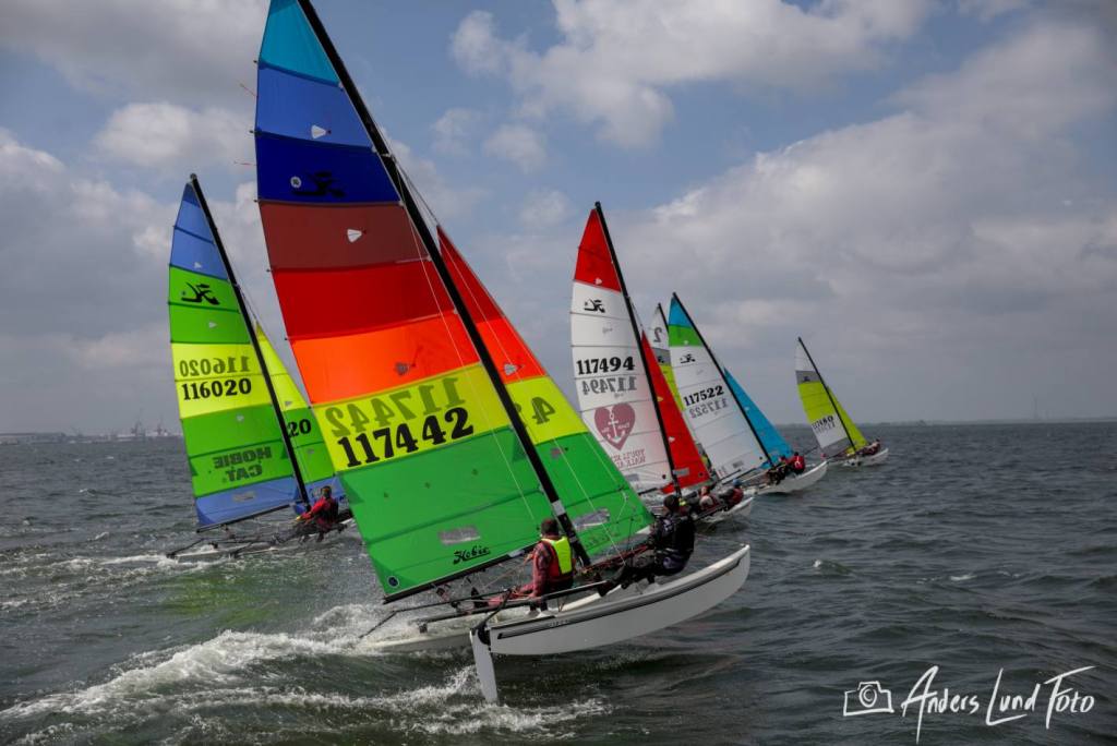 497585818 10237738926560255 2771830541000494257 N